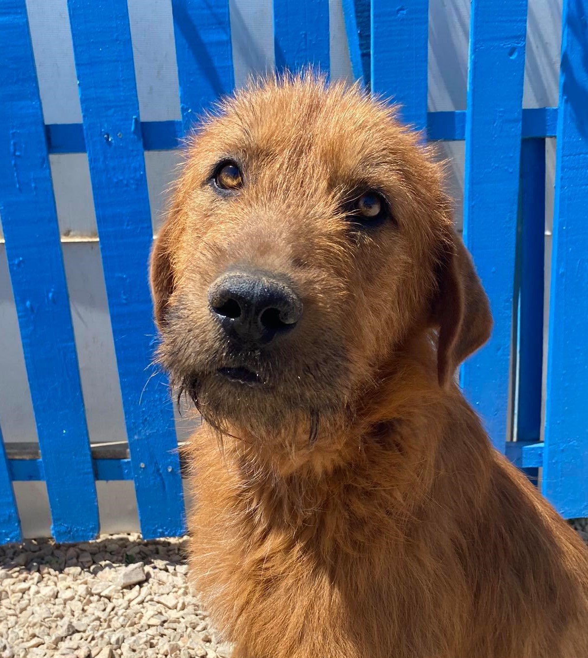 Roland (fka Emerson)